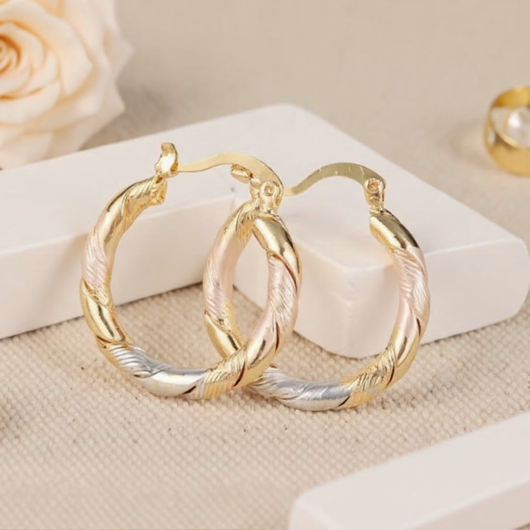 Elegant hoop earrings with twisted gradient designs for women
