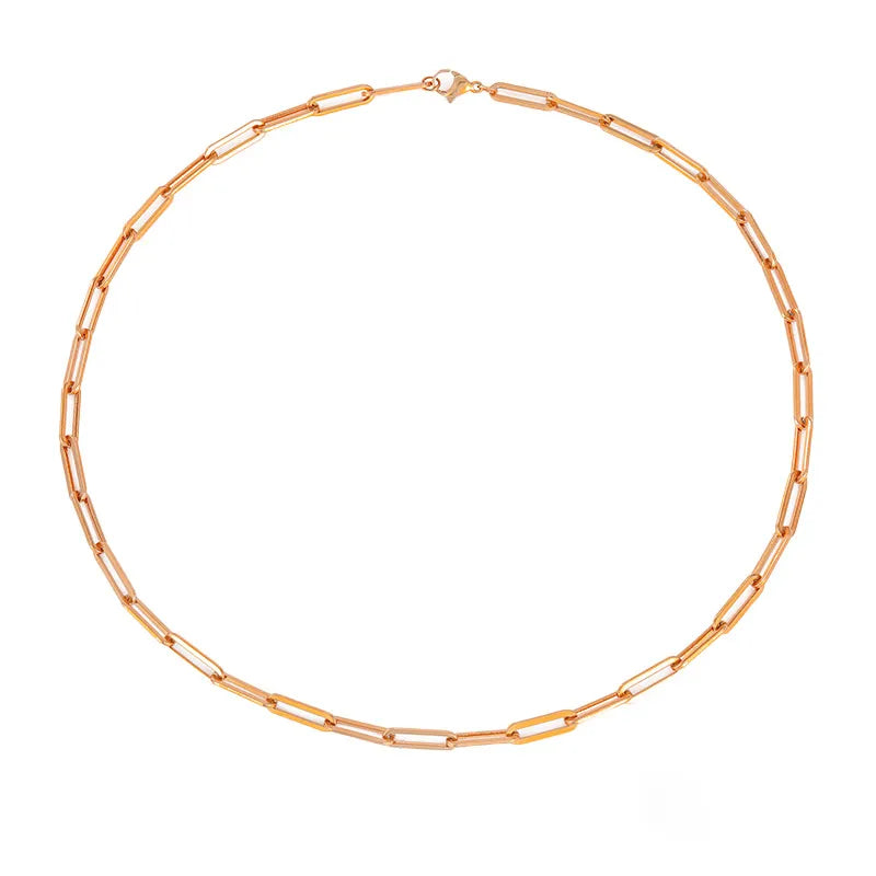 Fine Stainless Steel Clip Link Chain Necklace for Women